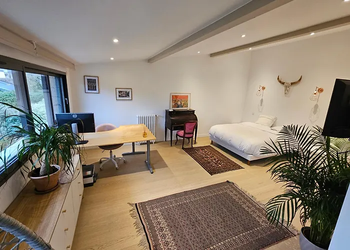 Villa Nomade - Bordeaux Center 180M2, 4 Rooms, Garden & Pool